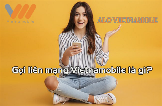 Đăng ký Gói ALO20 Vietnamobile ưu đãi data tốc độ cao 2026